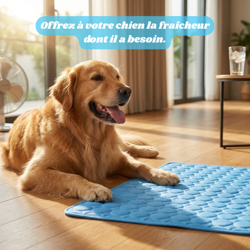 Snurzy Tapis Rafraîchissant