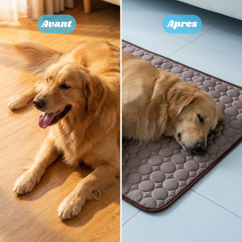 Snurzy Tapis Rafraîchissant