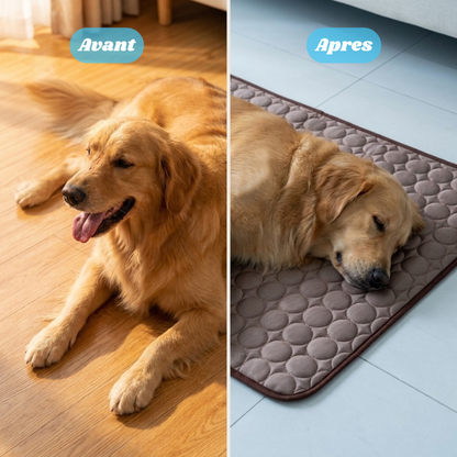 Snurzy Tapis Rafraîchissant