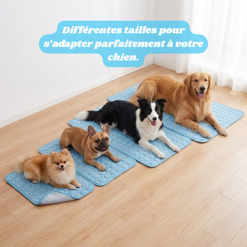Snurzy Tapis Rafraîchissant