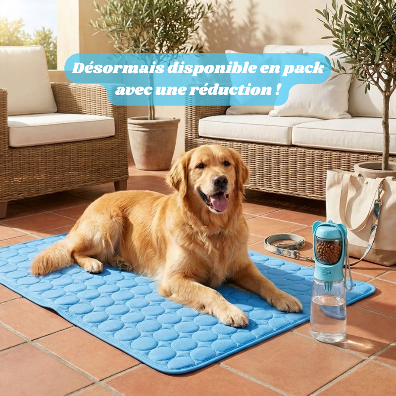 Snurzy Gourde Portable 2 en 1