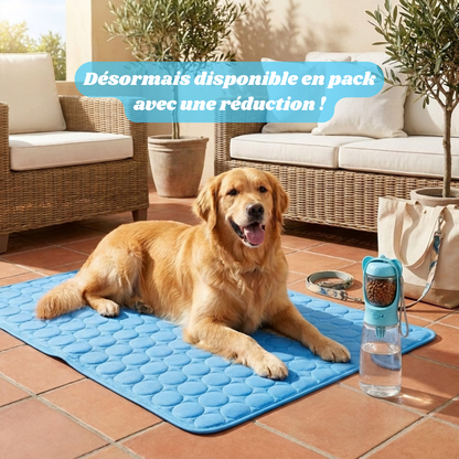 Snurzy Gourde Portable 2 en 1