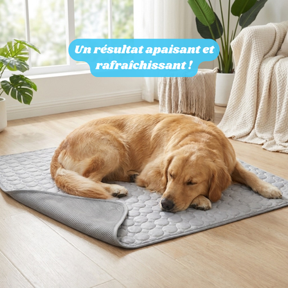 Snurzy Tapis Rafraîchissant